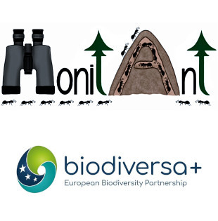 Logos MonitAnt & Biodiversa+